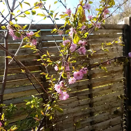 Alloggio in famiglia Hytten