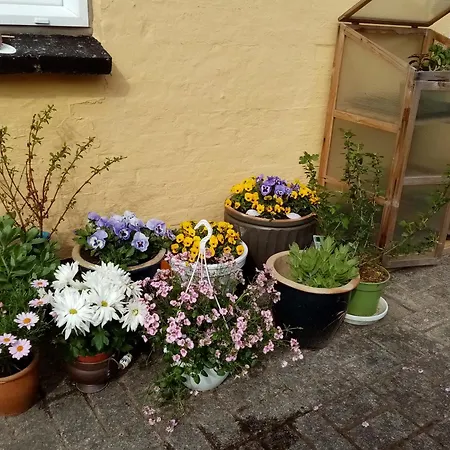 Hytten Homestay Frostrup