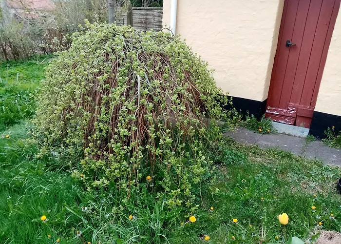 Hytten Ubytování v soukromí